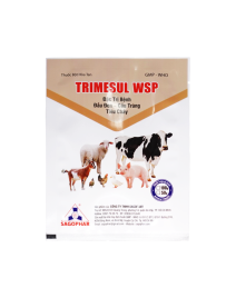 TRIMESUL WSP 