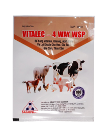 VITALEC – 4 WAY WSP