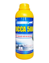 YUCCA 500
