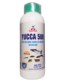 YUCCA 500 - CÁ