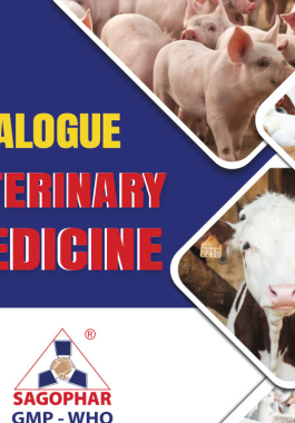 CATALOGUE SẢN PHẨM
