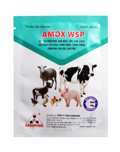 AMOX WSP