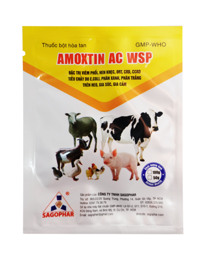 AMOXTIN AC WSP (Nhãn vàng)