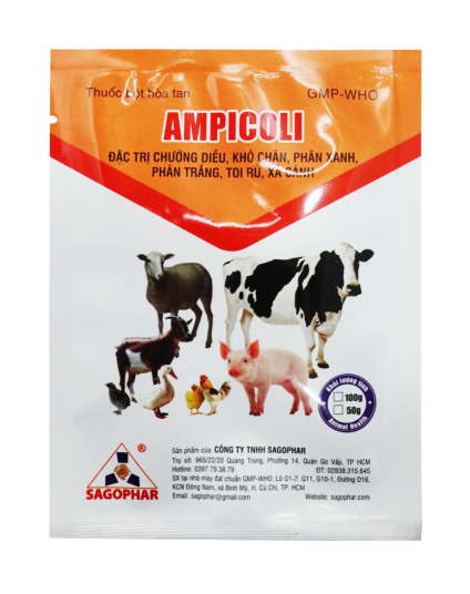 AMPICOLI (nhãn vàng)