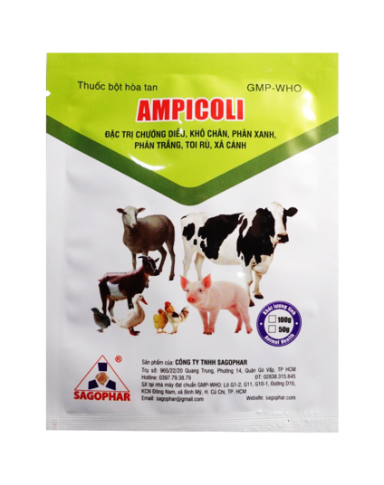 AMPICOLI (nhãn xanh)