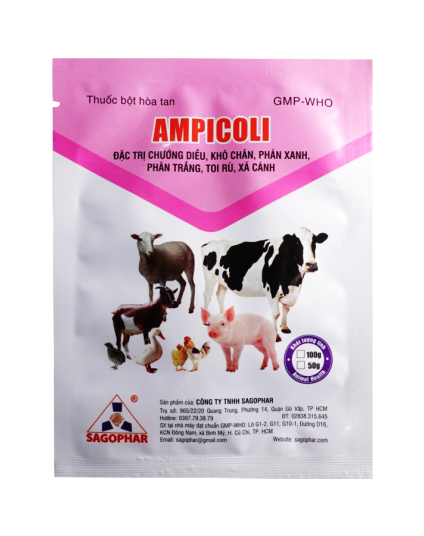 AMPICOLI (nhãn hồng)