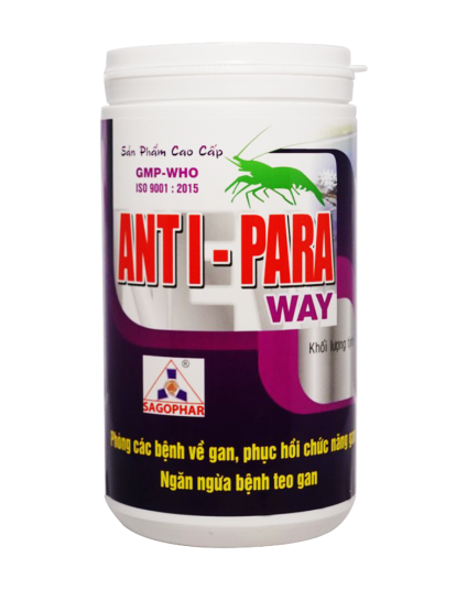 ANTI - PARA WAY