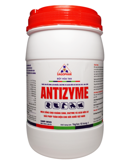 ANTIZYME HLC