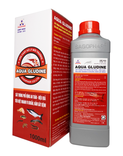 AQUA GLUDINE