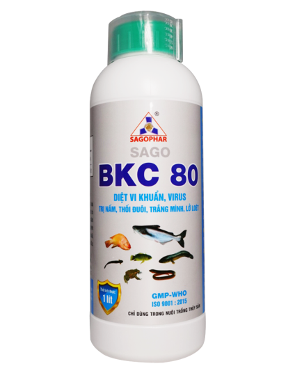 BKC 80 - CÁ