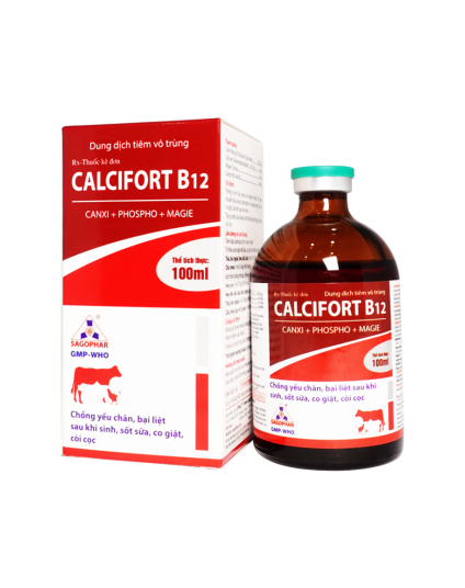 CALCIFORT B12