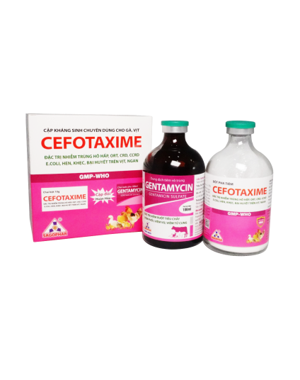 CEFOTAXIME - GENTAMYCIN