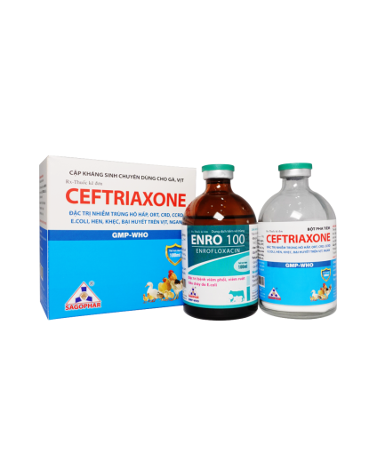  CẶP PHA TIÊM CEFTRIAXONE + ENRO 100