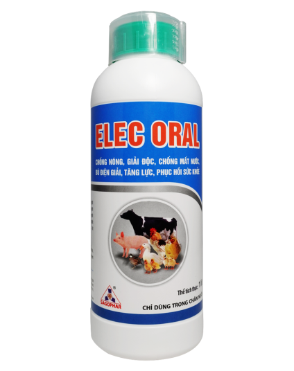 ELEC ORAL