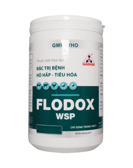FLODOX WSP HLC 