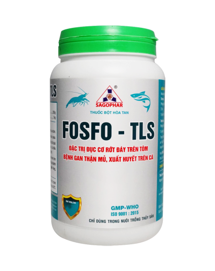 FOSFO – TLS 