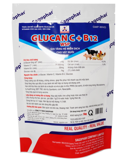 GLUCAN C + B12 WSP 