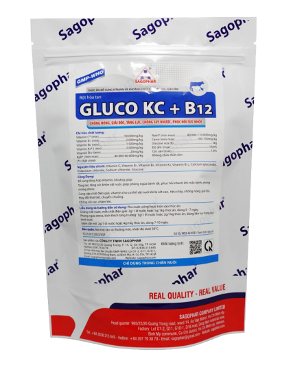 GLUCO KC + B12