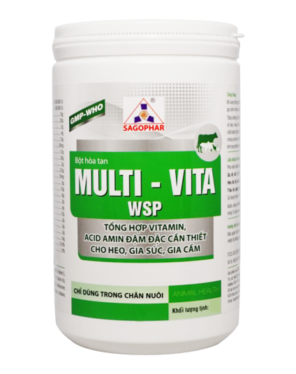 MULTI - VITA WSP 
