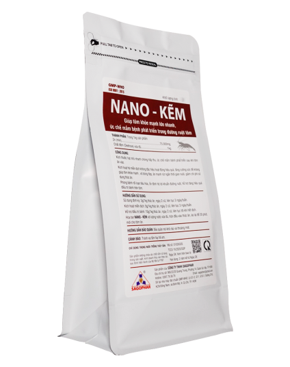 NANO - KẼM