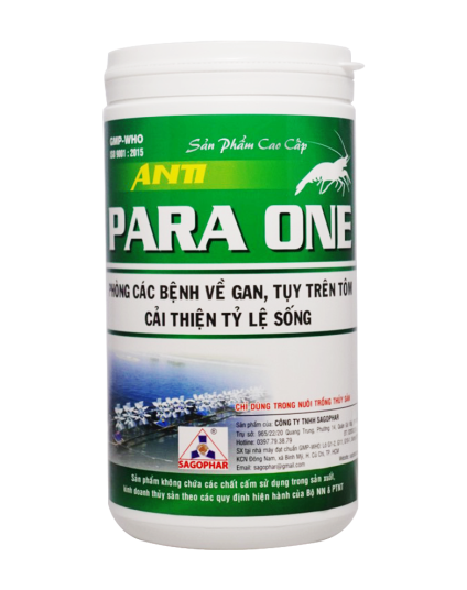 ANTI - PARA ONE