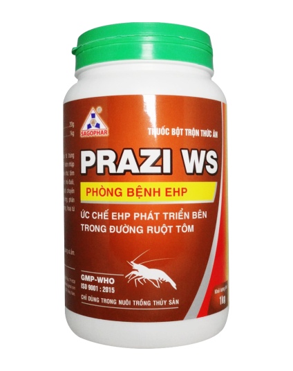 PRAZI WS 