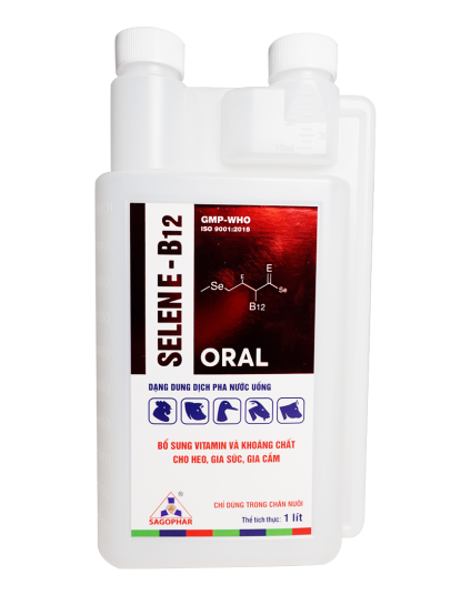 SELEN E - B12 ORAL