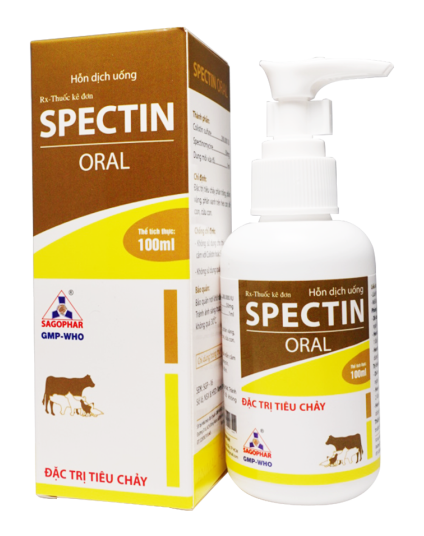 SPECTIN ORAL (nhãn vàng)
