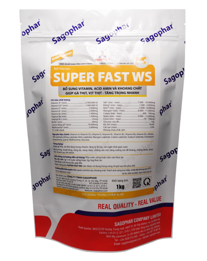 SUPER FAST WS 