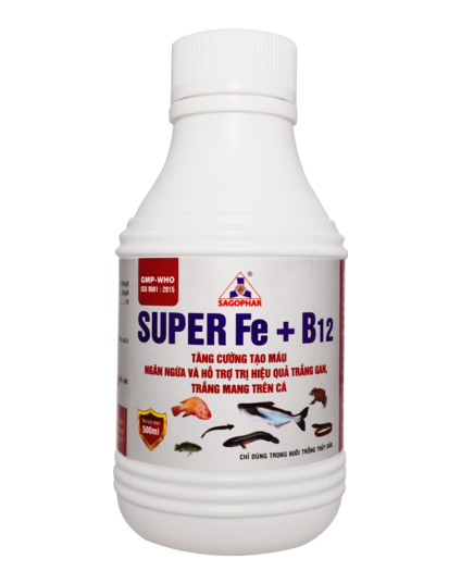 SUPER Fe + B12