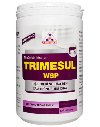 TRIMESUL WSP HLC 