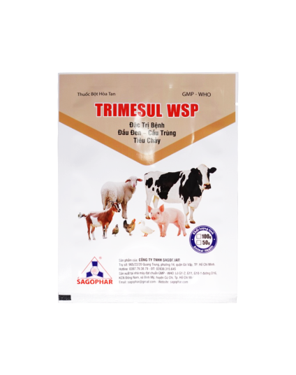 TRIMESUL WSP 