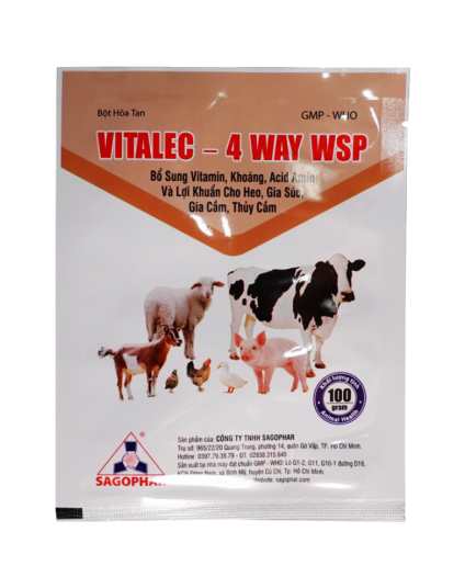 VITALEC – 4 WAY WSP