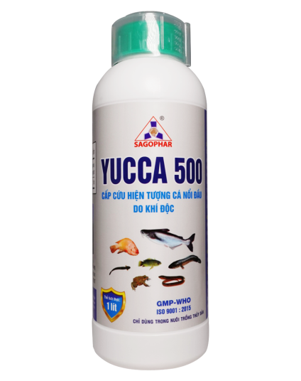 YUCCA 500 - CÁ